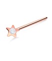 Star Shine Shaped Silver Straight Nose Stud NSKA-142